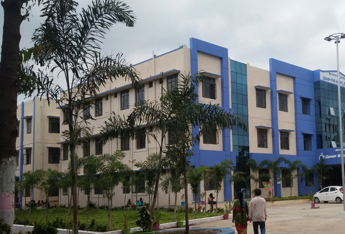 Government Hospitals